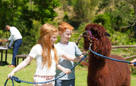 雷明頓國家公園&歐萊麗巴士之旅｜遊後總結3大避坑+實用建議