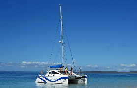 費沙島海豚觀賞半日遊實測｜零踩雷！與瓶鼻海豚同遊超震撼✨