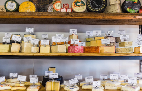 陽光海岸內陸一日遊實測｜起司+酒莊+瀑布隱藏版景點！避坑指南