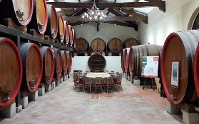 阿維尼翁出發教皇新堡品酒｜2間酒莊+夏宮全景！港澳仔實測避坑✨