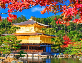 京都一日遊實測｜金閣寺金光+清水寺古韻+伏見稻荷千本鳥居｜一日玩透三大景點超讚✨