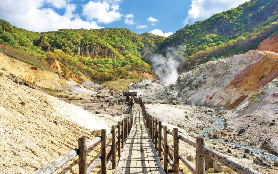 北海道美瑛富良野包車實測｜5個隱藏亮點+避坑！超讚景點別錯過✨