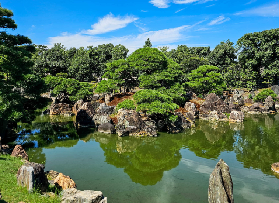 京都御所+二條城導覽｜導遊超贊！細節體驗全記錄💫