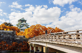 大阪私人遊實測｜3景點任選+政府認證導遊！超讚避坑指南不踩雷💡