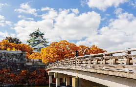 大阪4小時私人遊實測！選這2景超讚✨避坑指南看這篇