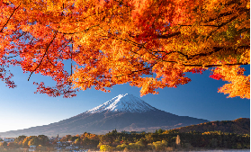 東京出發富士山巴士團實測｜五合目+河口湖一日遊超抵體驗✨