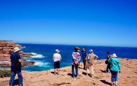 西澳卡爾巴裏半日遊實測｜粉湖+觀鯨+野趣野餐！避坑指南收好✨