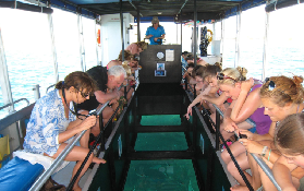 西澳珊瑚灣實測｜不用下水也能看珊瑚？這趟玻璃底船太絕了✨