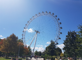 倫敦威斯敏斯特徒步+倫敦眼實測｜3小時玩透地標！避坑指南收好✨