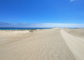 柯芬灣一日遊實測｜越野+吃牡蠣超讚！3個避坑點必看✨