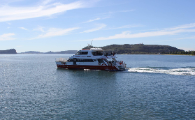 雪梨北端隱藏寶藏！棕櫚灘遊船48小時實玩紀錄✨超讚景點大公開