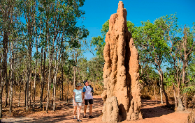 北領地利奇菲爾德實測｜訂前必看！這3個套餐坑別踩🌿