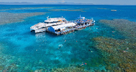 ⚠️凱恩斯大堡礁一日遊實測！摩爾礁+菲茨羅伊島超抵選