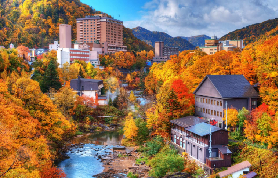 北海道一日遊搶先睇！札幌出發4景點+紅葉季攻略｜避坑必睇