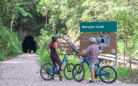 凱恩斯熒光蟲隧道夜騎實測｜電動自行車導覽超抵玩！3個避坑必看