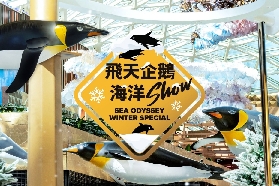 澳門美獅美高梅飛天企鵝海洋Show