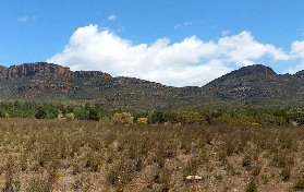 弗林德斯山脈四驅車攻略｜從億萬年化石到原住民故事，這趟探險超讚🤩