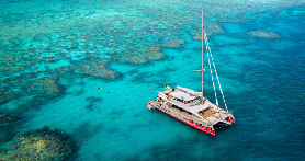 大堡礁浮潛初體驗｜這款「天堂熱情」真的超讚！不踩雷攻略✨