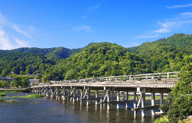 京都嵐山半日遊實測｜竹林+天龍寺+渡月橋超讚體驗🤩
