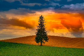 北海道私人包車一日遊實測｜3個必選路線+避坑貼士｜超抵玩✨