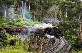 墨爾本菲利普島一日遊｜3亮點+2避坑實測，別再走冤枉路！