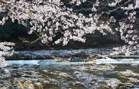 京都嵐山必試！小火車+遊船巴士之旅預訂前3個重點✨