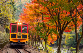 京都嵐山嵯峨野之旅｜3個避坑建議別踩雷💡