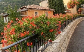 普羅旺斯一日遊實測｜韋爾東峽谷+聖十字湖超讚！隱藏版體驗曝光✨