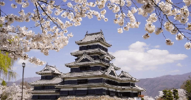 日本中部一日遊｜松本城+青蛙街+奈良井宿！避坑實測✨