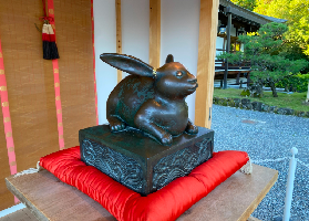 奈良大神神社一日遊｜實測體驗！那些你不知道的細節超讚🥢