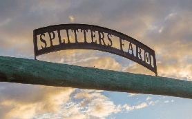 昆士蘭隱藏版農場半日遊實測｜跟萌寵貼貼+吃現采蜂蜜，避坑指南看這篇✨