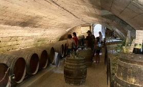 盧瓦爾河谷品酒1日遊｜巴黎出發實測！城堡+品酒+午餐全攻略💡