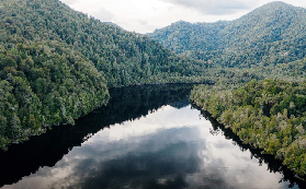 塔斯馬尼亞必玩！戈登河遊船實測｜解鎖莎拉島歷史+荒野雨林✨