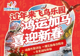 新春出遊攻略｜來廣州長隆飛鳥樂園，鴻運加馬過新年！