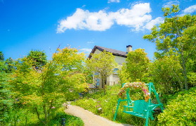 大阪出發姬路城一日遊！遊玩細節超讚避坑！