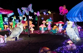 法國Amnéville動物園快速通道｜預訂前必睇！唔搶手真係走寶✨