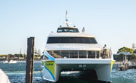 珀斯羅特尼斯島一日遊實測🔥避坑+必玩全攻略！短尾矮袋鼠超治愈💛