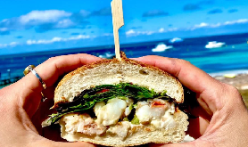 珀斯羅特尼斯島一日遊實測✨短尾矮袋鼠超萌+必玩攻略！