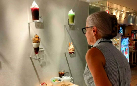 東京半日遊避坑指南！私人定製遊必看心得📝