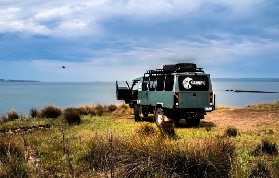 實測澳洲法國島一日遊｜酒莊品酒+看無尾熊！避坑指南收好✨