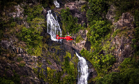 澳洲必玩！大堡礁×雨林直升機1日遊實測｜不踩雷攻略✨