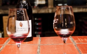 普羅旺斯一日遊超讚體驗｜南法田園+海岸一次看飽！實測每個景點亮點💫