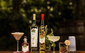 坦伯林山一日遊避坑指南｜實測後總結5個必註意事項⚠️