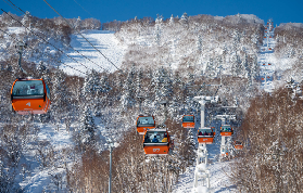 實測！札幌滑雪接駁巴士保姆級攻略✨避坑+粉雪體驗全公開