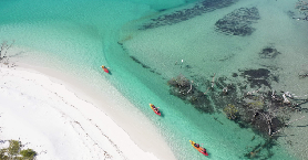 弗雷澤島獨木舟鯨魚之旅｜實測避坑！少數人闖的秘境超抵玩🤩