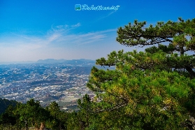 大叻浪平山攻略｜3大避坑建議，看完再去不後悔！