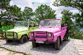 大叻浪平山實測｜徒步3小時的松樹林仙境？雷達峰俯瞰全景超讚！