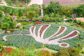 大叻Chuon Chuon Bistro門票實測｜3個必打卡點+避坑貼士！唔好走冤枉路✨