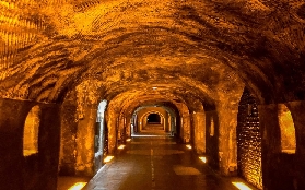 巴黎香檳一日遊實測｜酒窖+村莊+午餐超讚體驗🤩