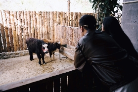 大叻Fresh Garden攻略｜預約定要註意這3件事！避坑實測✅